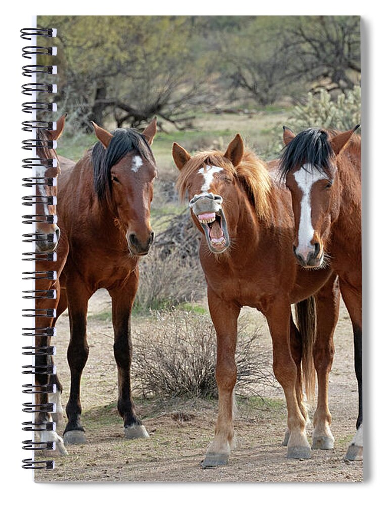 Wild Horses Spiral Notebook featuring the photograph Laughing Horse by Martin Konopacki
