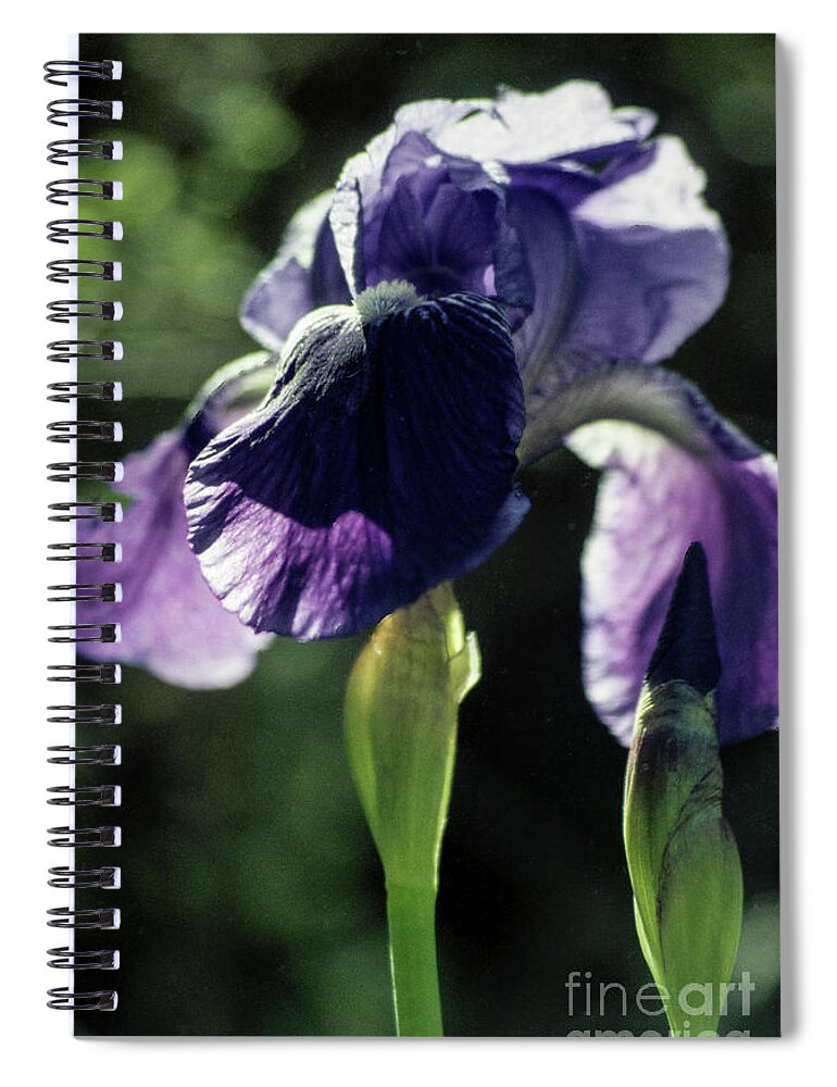 Arizona Spiral Notebook featuring the photograph Lavender by Kathy McClure