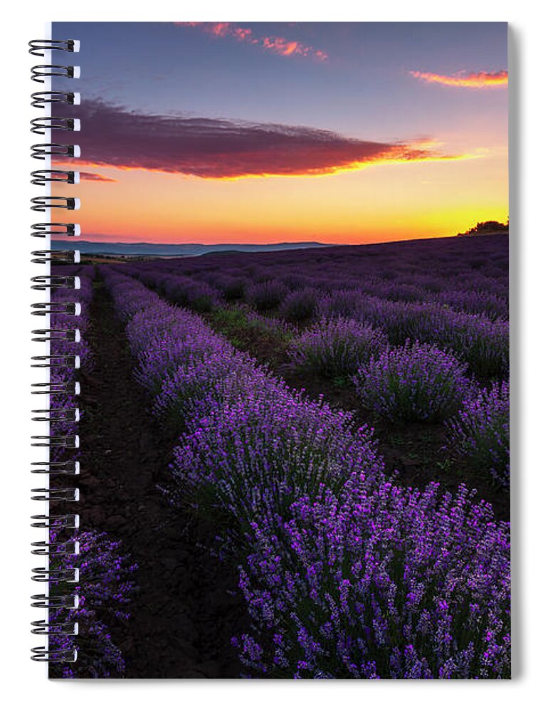 Bulgaria Spiral Notebook featuring the photograph Lavender Sky by Evgeni Dinev