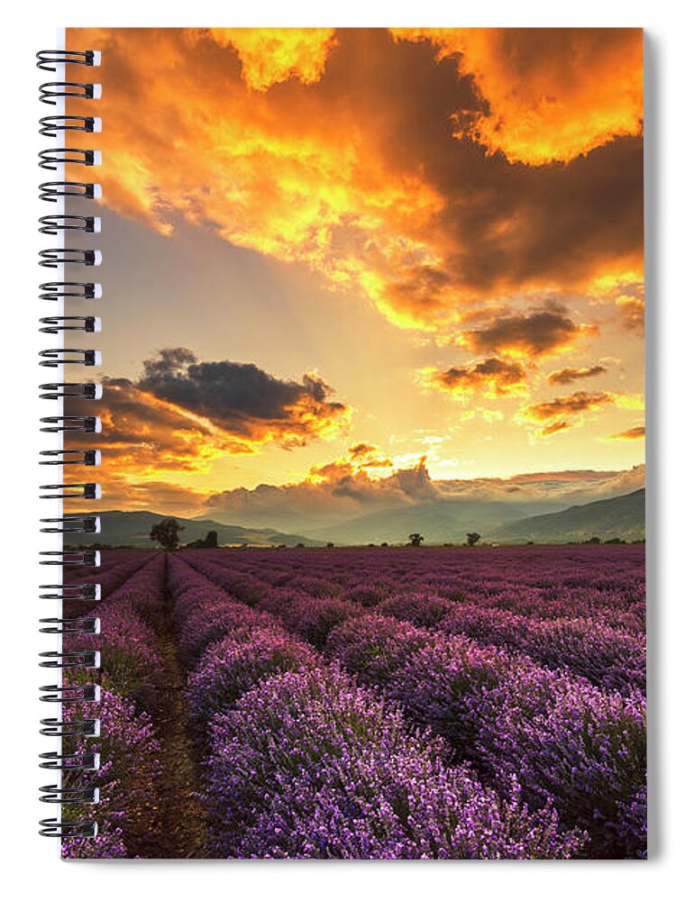 Bulgaria Spiral Notebook featuring the photograph Lavender Sun by Evgeni Dinev