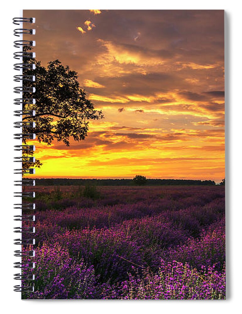 Bulgaria Spiral Notebook featuring the photograph Lavender Sunrise by Evgeni Dinev