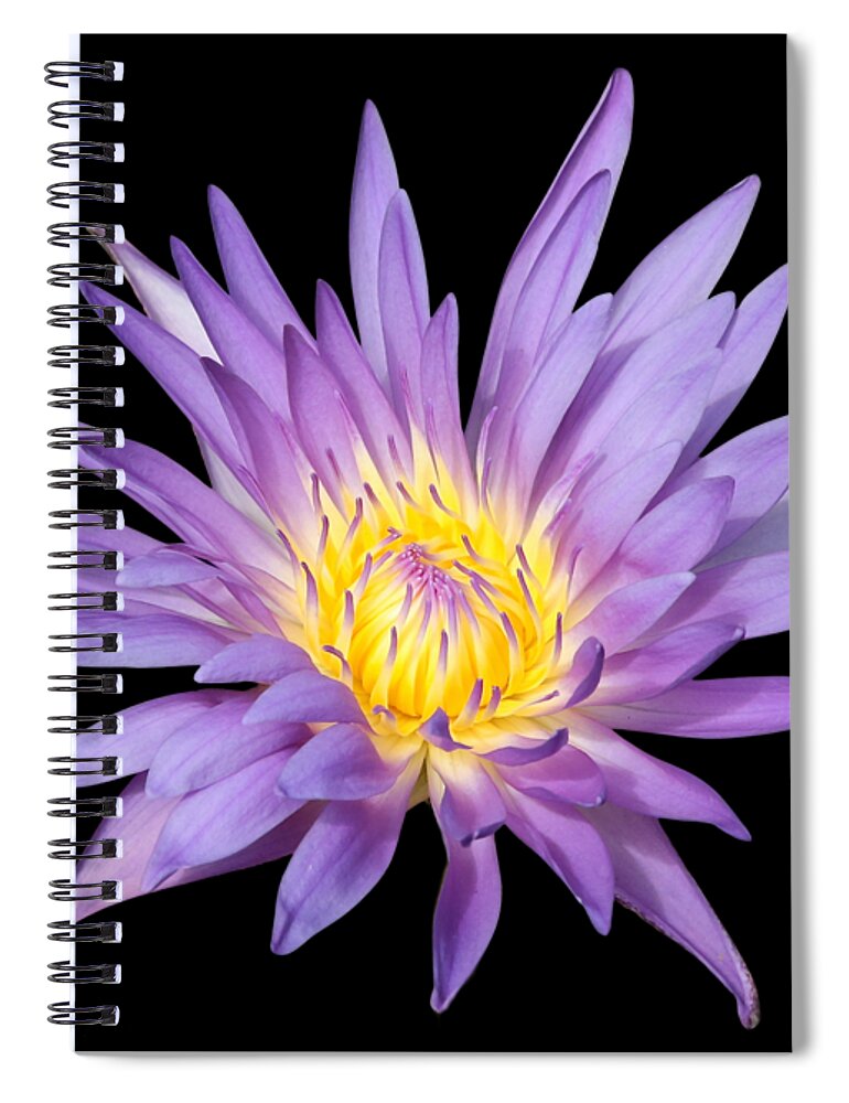 Water Lily Spiral Notebook featuring the photograph Lavender Water Lily by Carol Groenen