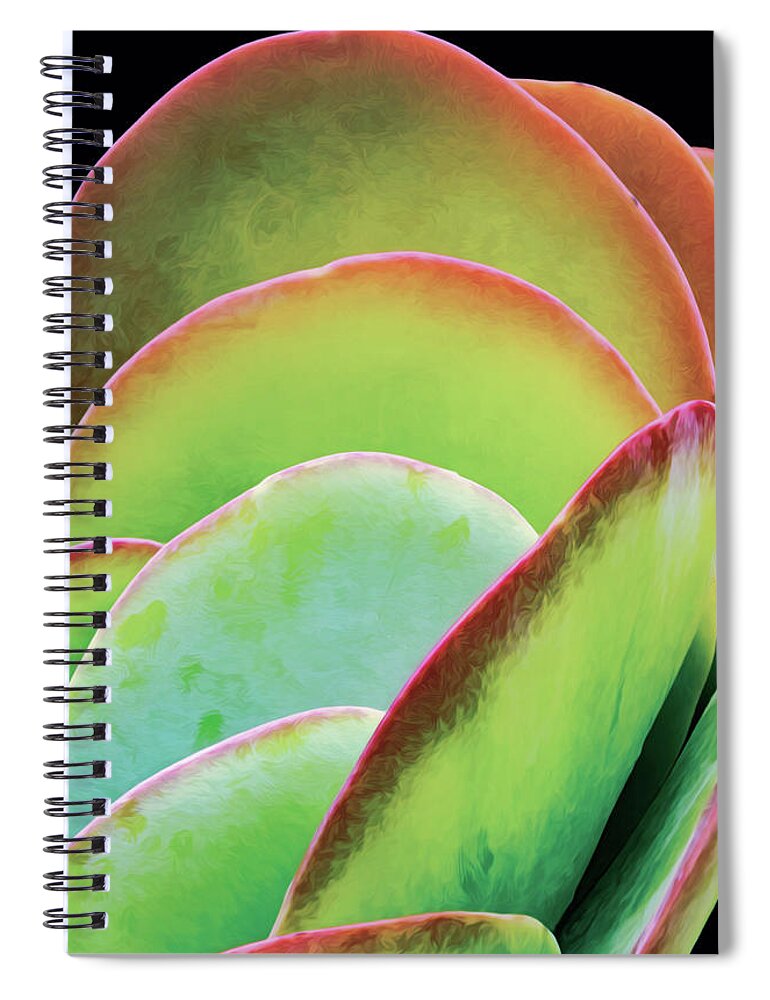 Succulent Spiral Notebook featuring the photograph Layeres Of Succulent Plant Leaves by Gary Slawsky