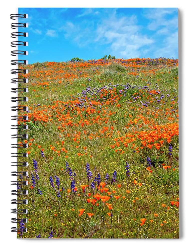Superbloom Spiral Notebook featuring the photograph Layers of Loveliness - Superbloom 2019 by Lynn Bauer
