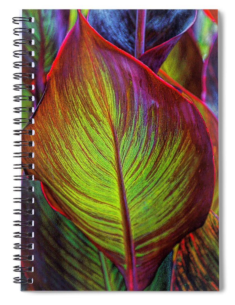 Colorful Spiral Notebook featuring the photograph Leaf Glow by Rochelle Berman