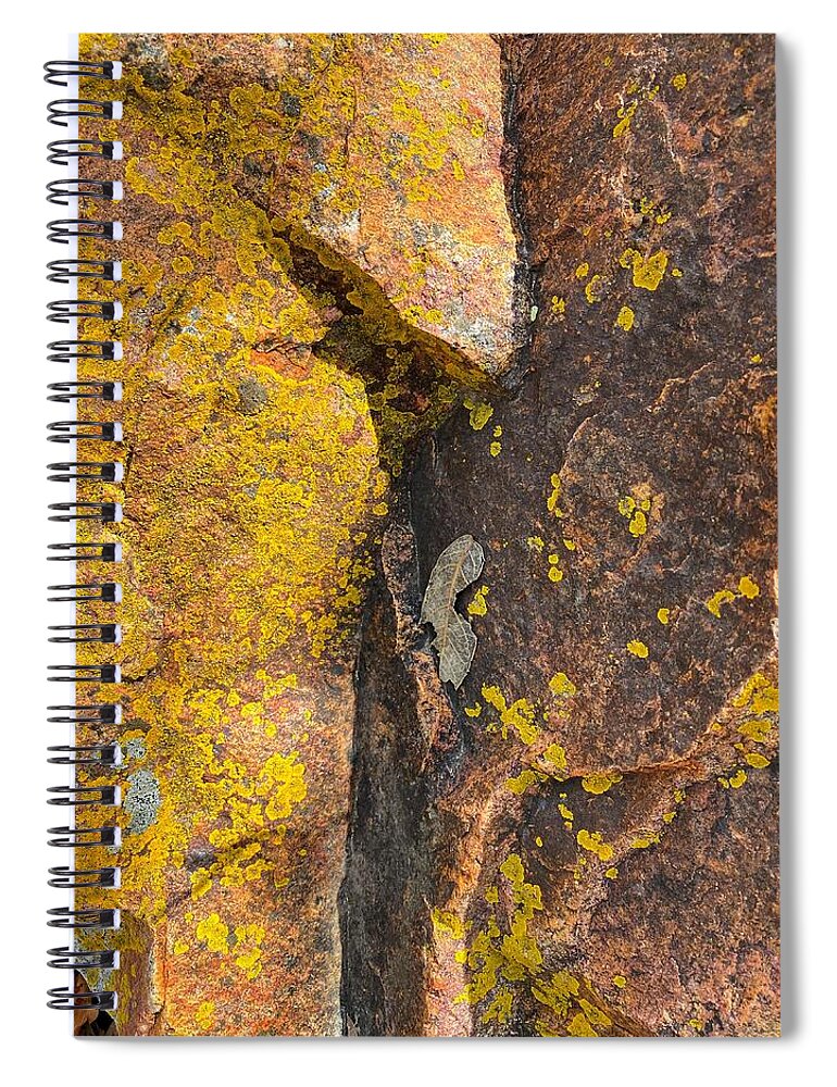 Colorful Rocks Spiral Notebook featuring the photograph Leaf on Rock by Jerry Abbott