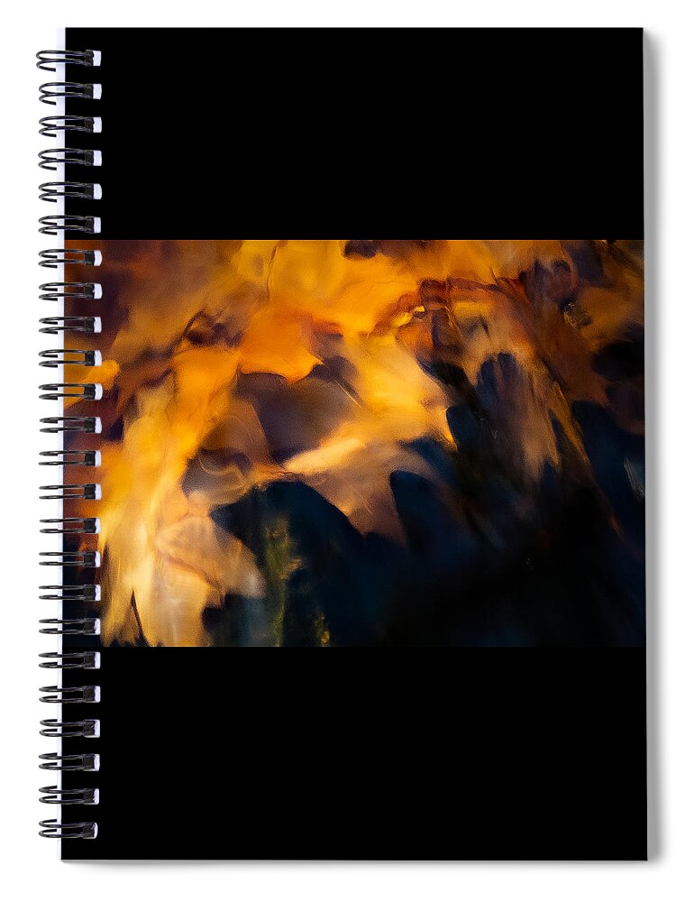 Abstract Spiral Notebook featuring the photograph Leaf Story by Linda Bonaccorsi