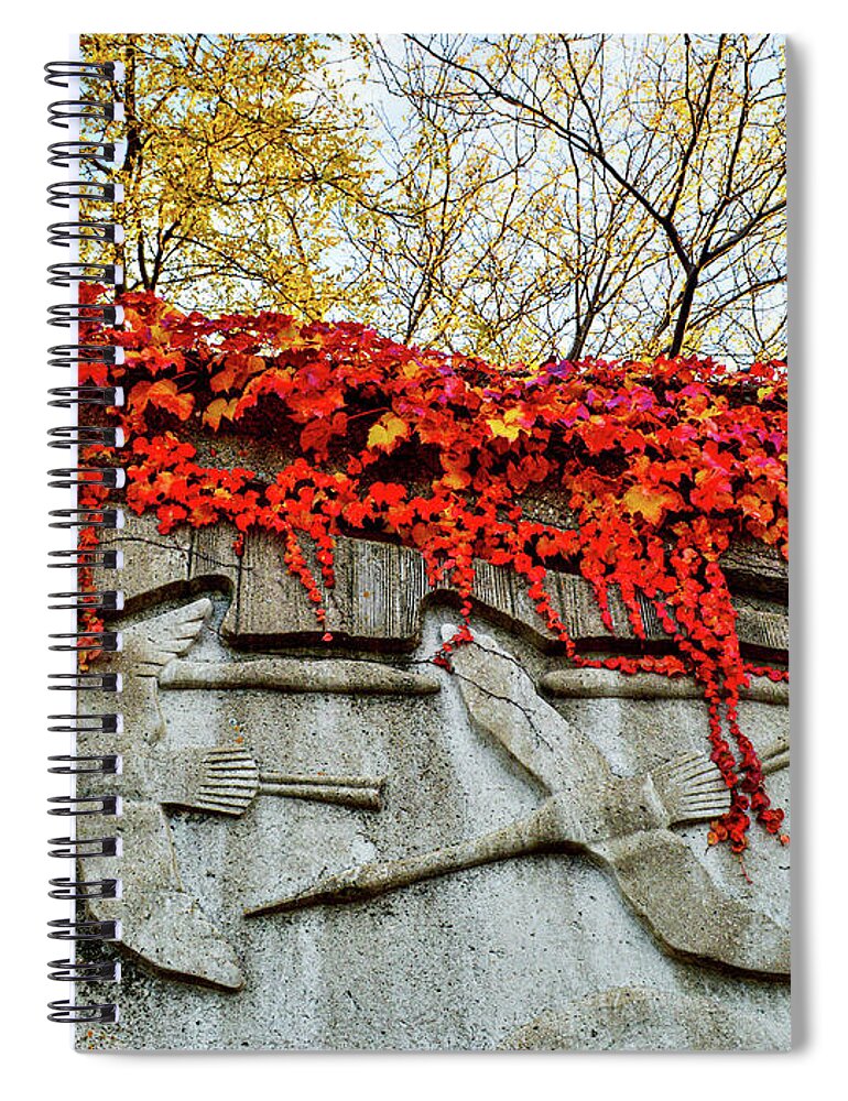 Fall Colors Spiral Notebook featuring the photograph Leaves at the Levee by Susie Loechler