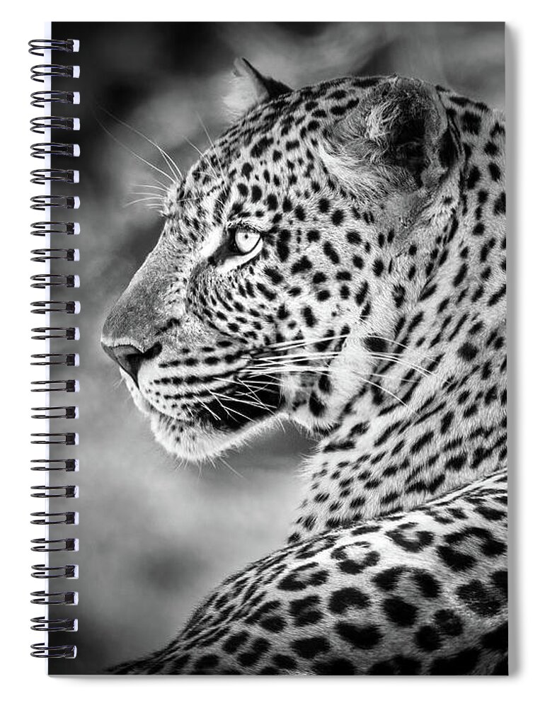 Africa Spiral Notebook featuring the photograph Leopard by James Capo