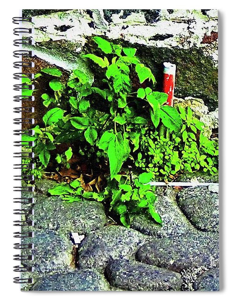 Nature Spiral Notebook featuring the photograph Lessons from Nature on Surviving and Thriving by Aberjhani