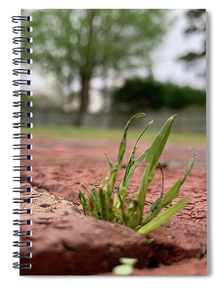 Grass Spiral Notebook featuring the photograph Let Me Out by Lee Darnell