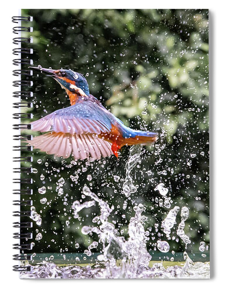 Kingfisher Spiral Notebook featuring the photograph Levitation by Mark Hunter