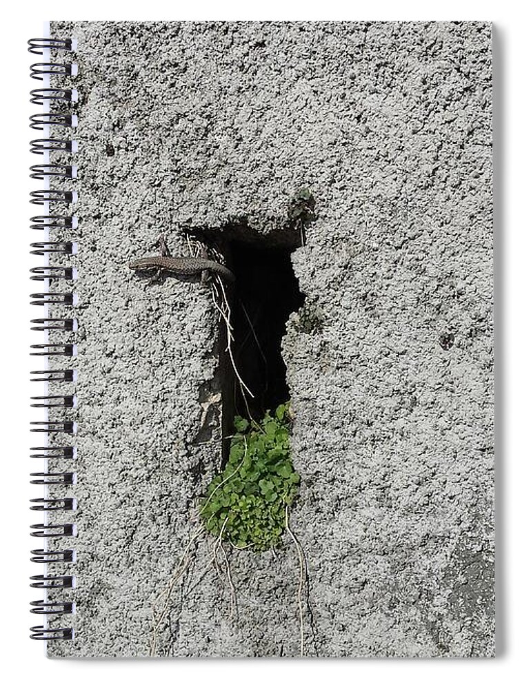 Grey Spiral Notebook featuring the photograph Lezard by Joelle Philibert