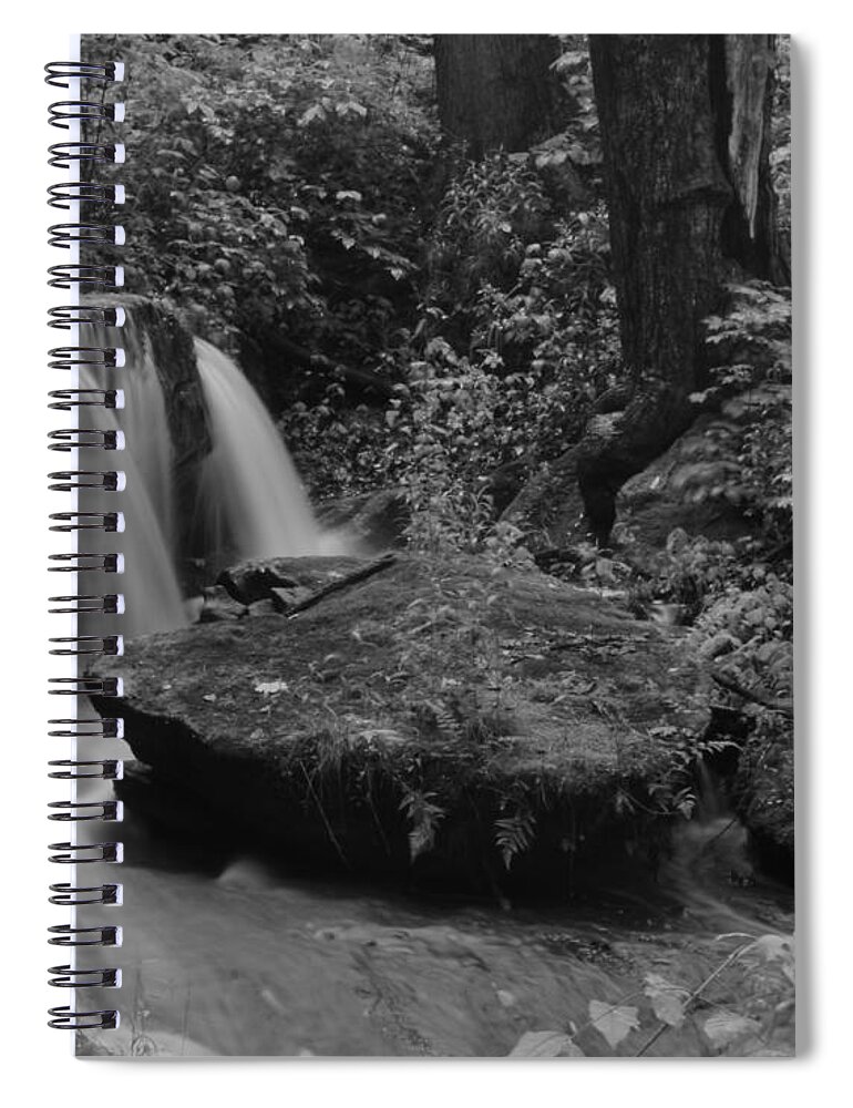  Spiral Notebook featuring the photograph Liberty Park by Brad Nellis
