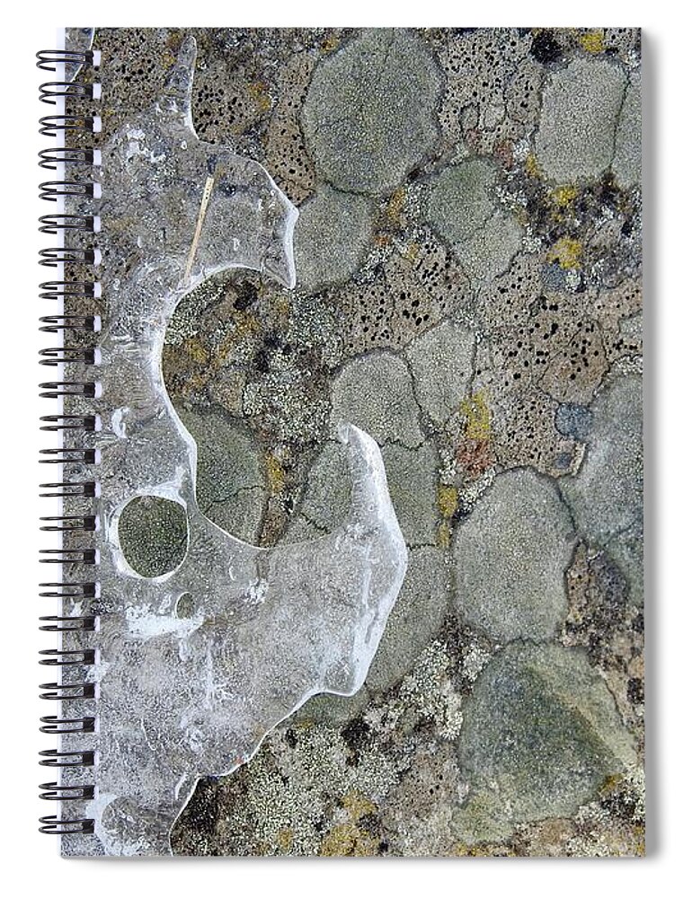 Lichen Spiral Notebook featuring the photograph Lichen and Ice by Nicola Finch