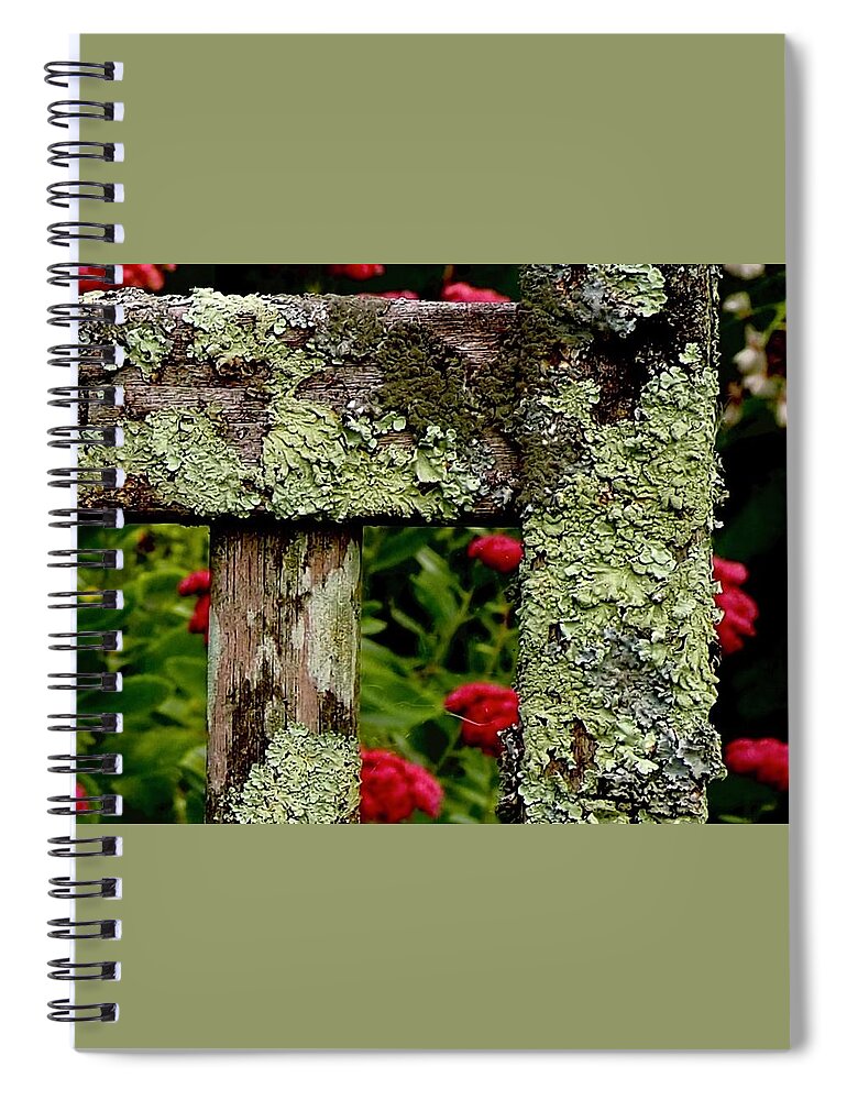 Lichen Spiral Notebook featuring the photograph Keeping Company With Lichen by Alida M Haslett