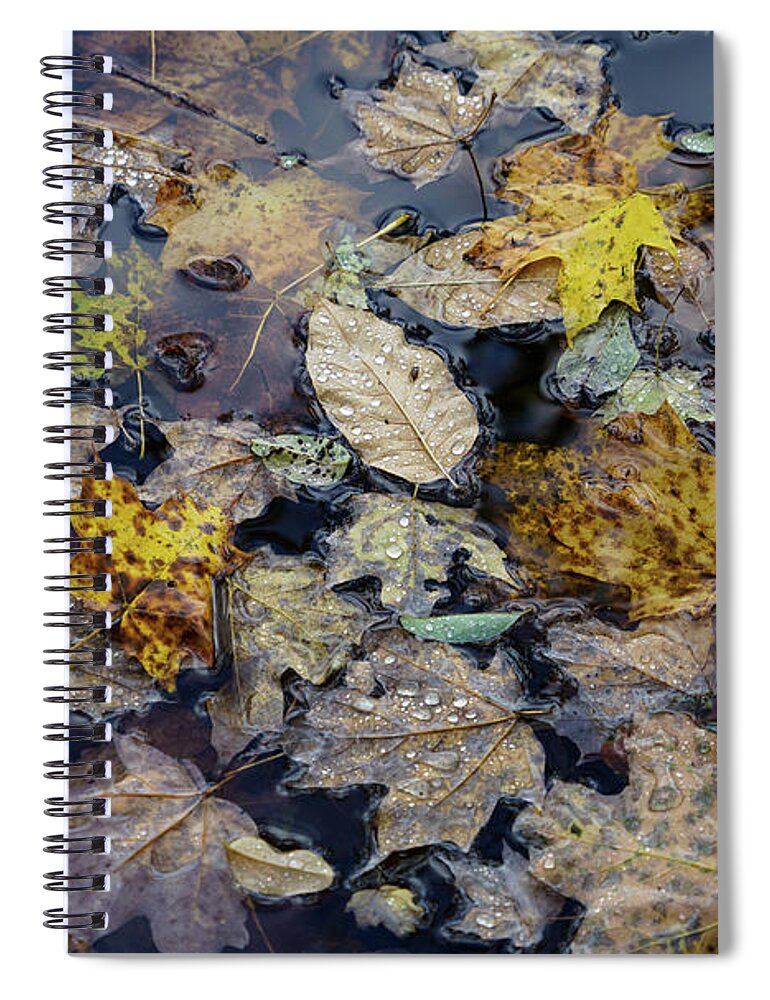 Life Lost Spiral Notebook featuring the photograph Life Lost by Rachel Cohen