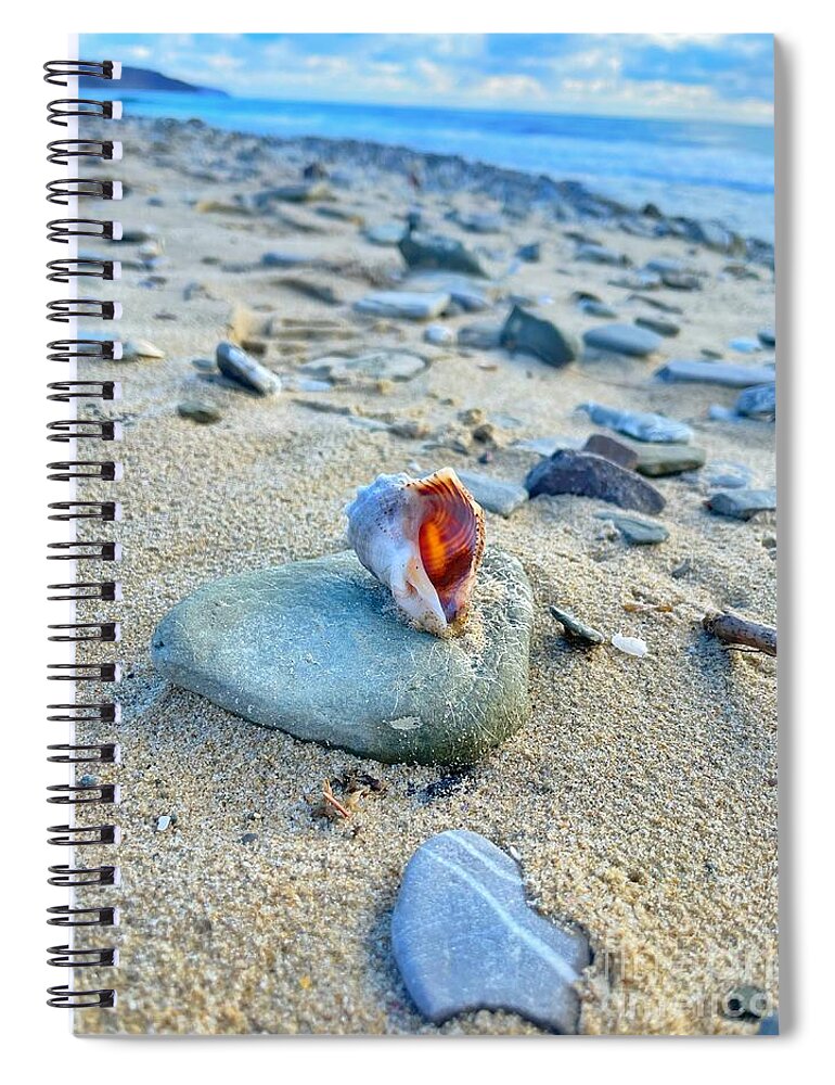 Bay Spiral Notebook featuring the photograph Life of a Shell by Maya Mey Aroyo