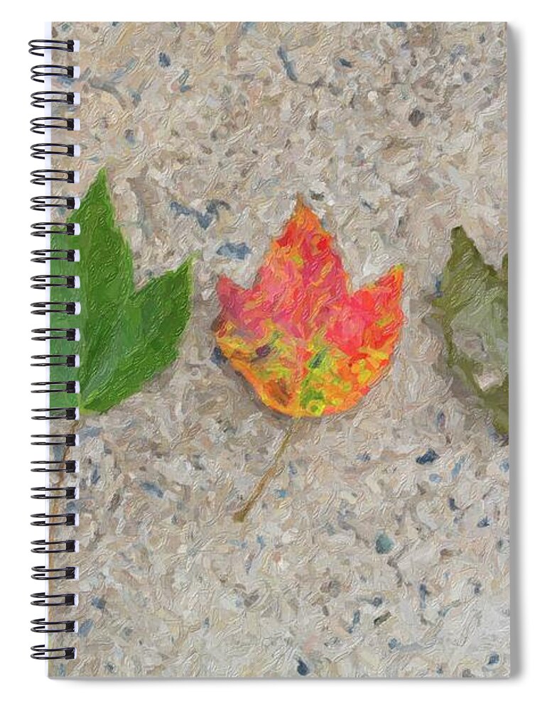 Leaf Spiral Notebook featuring the photograph Lifecycle of a Leaf by Carolyn Ann Ryan