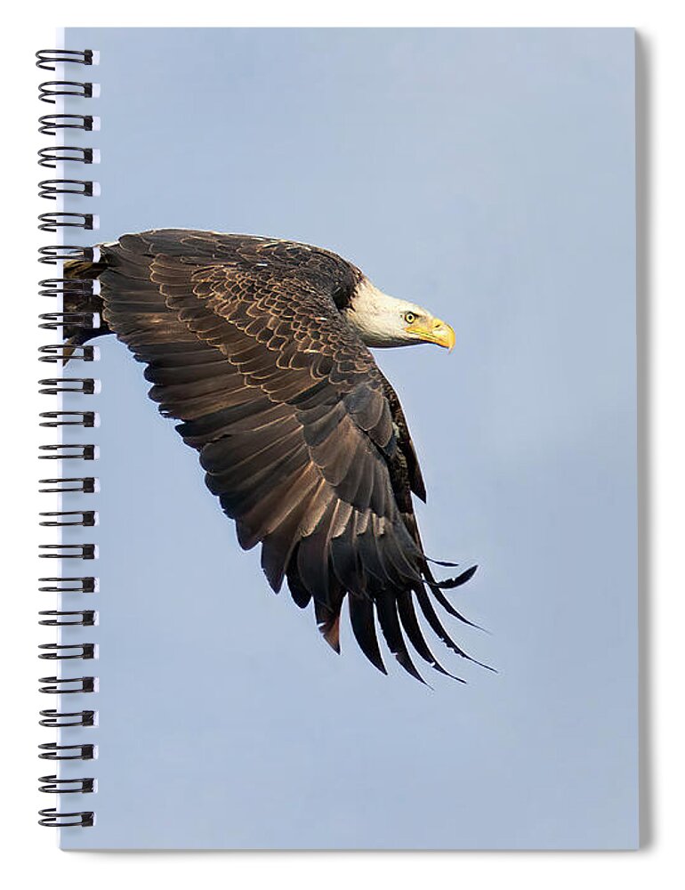 Eagle Spiral Notebook featuring the photograph Liftoff Glide by Art Cole