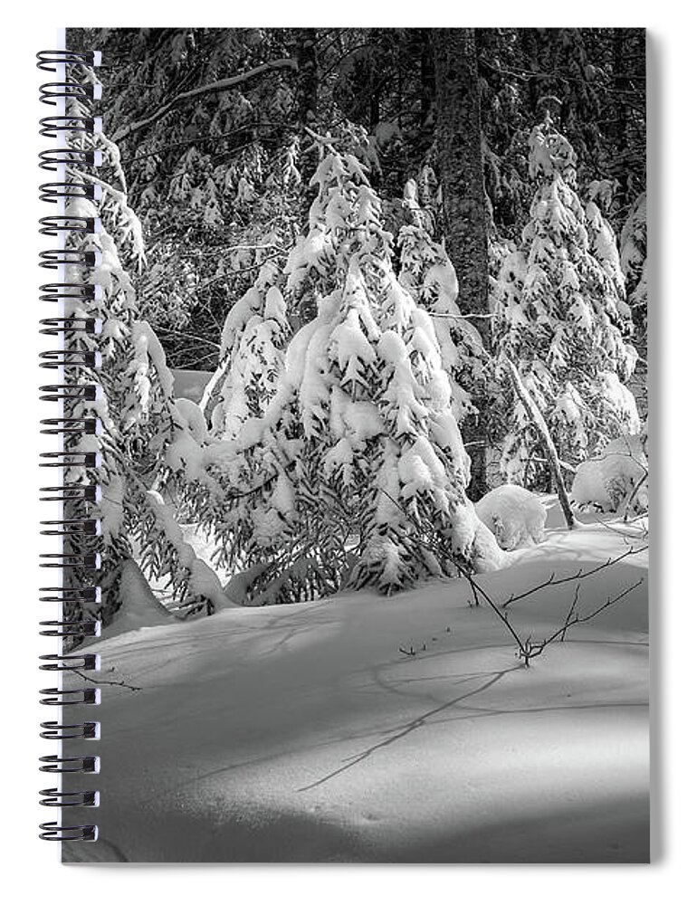 New Hampshire Spiral Notebook featuring the photograph Light In The Winter Wood by Jeff Sinon