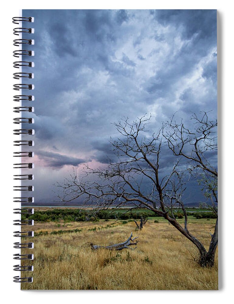 Storm Spiral Notebook featuring the photograph Lightning Strike with Tree by Wesley Aston