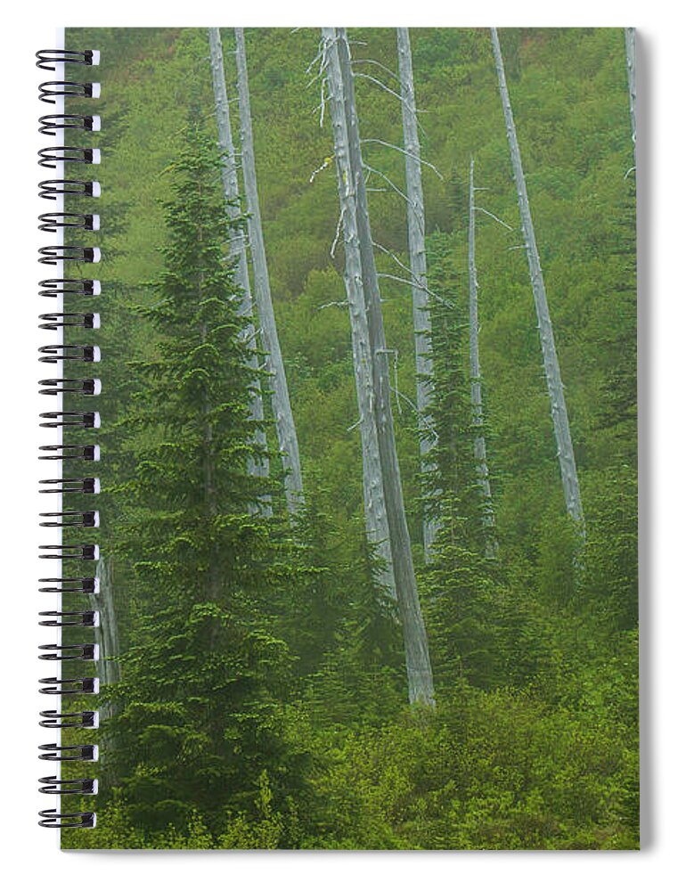 Mount Rainier National Park Spiral Notebook featuring the photograph Lightning Strikes from the Past by Doug Scrima