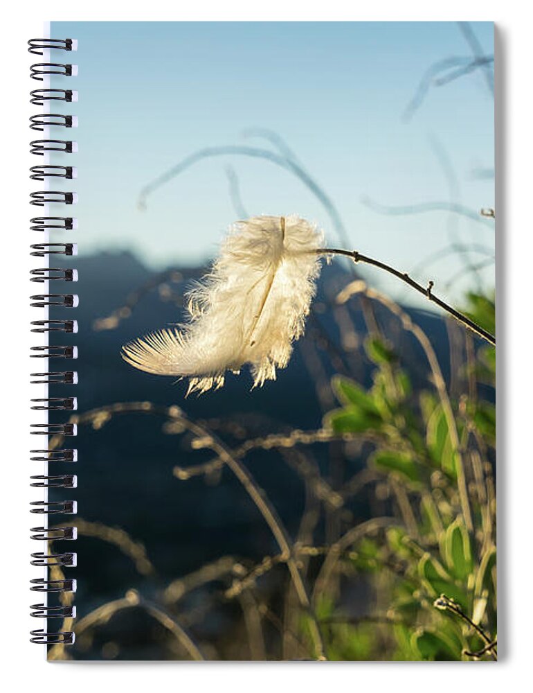 Feather Spiral Notebook featuring the photograph Light feather in the wind by Adriana Mueller