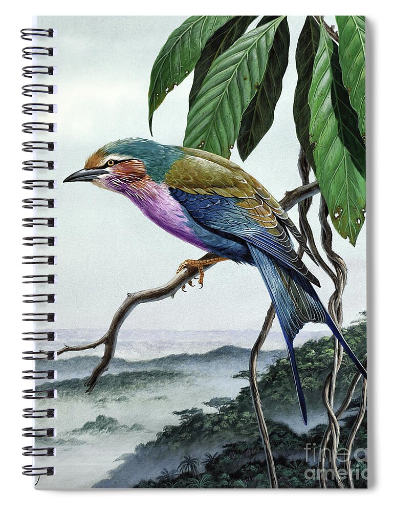 Wildlife Spiral Notebook featuring the painting Lilac-breasted Roller by Don Balke