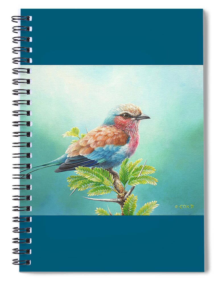 Lilac-breasted Roller Spiral Notebook featuring the painting Lilac-breasted Roller with acacia by Christopher Cox