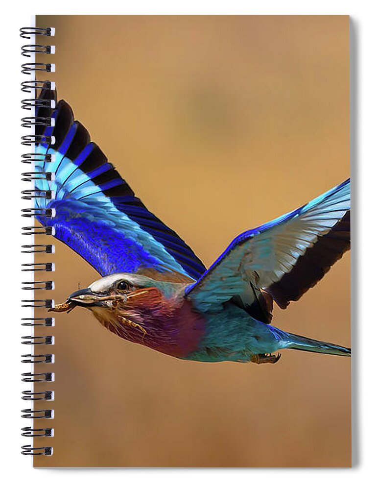 Bird Spiral Notebook featuring the photograph Lilac Breasted Roller with Praying Mantis by David Hart