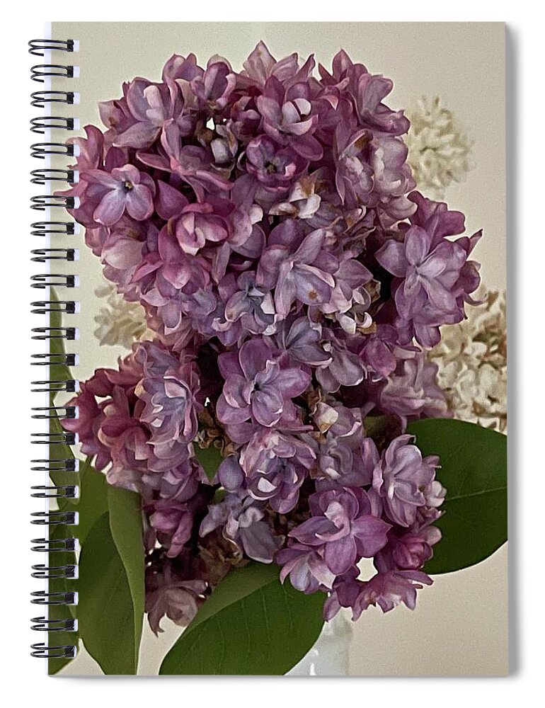 Lilacs Spiral Notebook featuring the photograph Lilacs by Lisa White