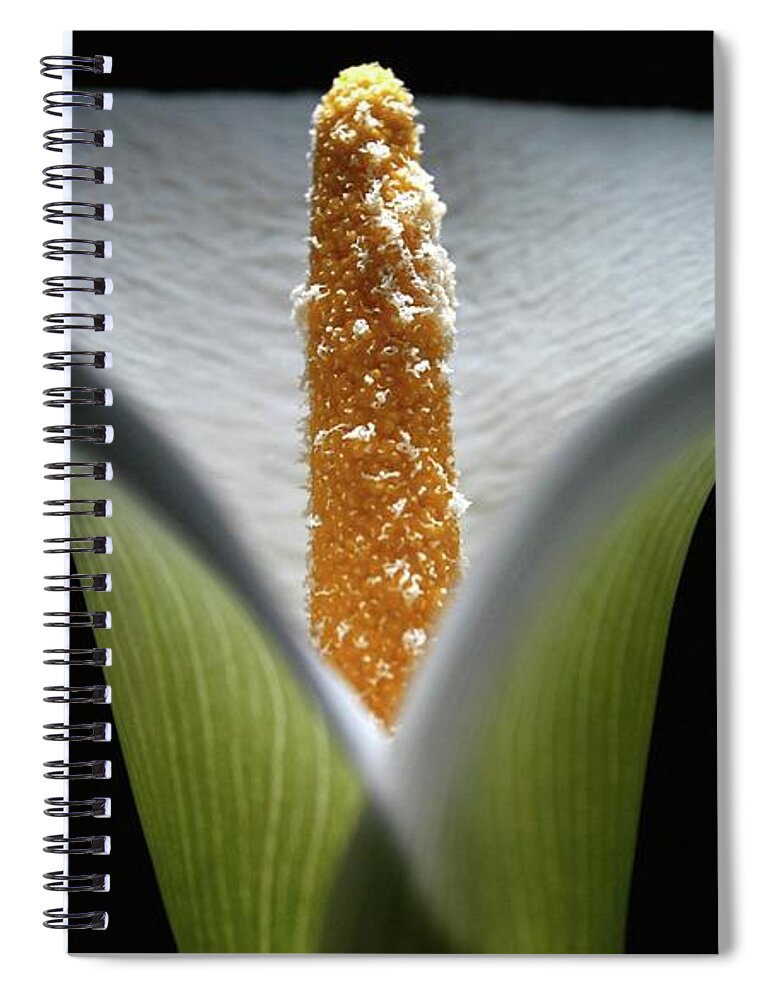 Macro Spiral Notebook featuring the photograph Lily 041607 by Julie Powell