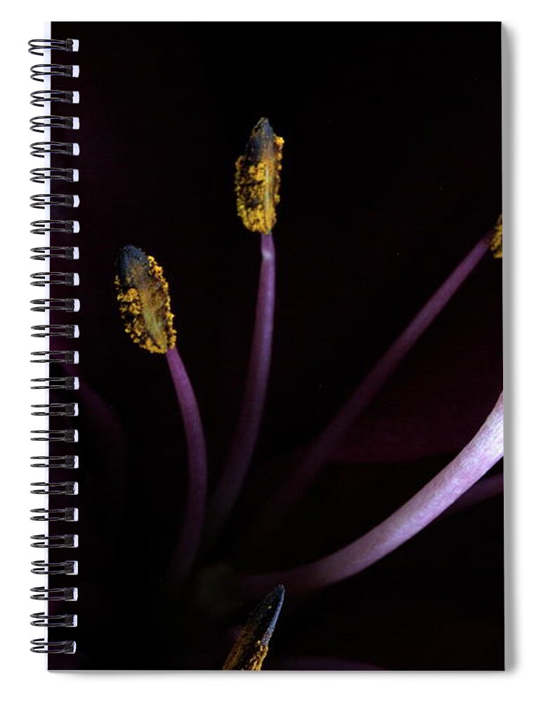 Botanica Spiral Notebook featuring the photograph Lily 3684 by Julie Powell