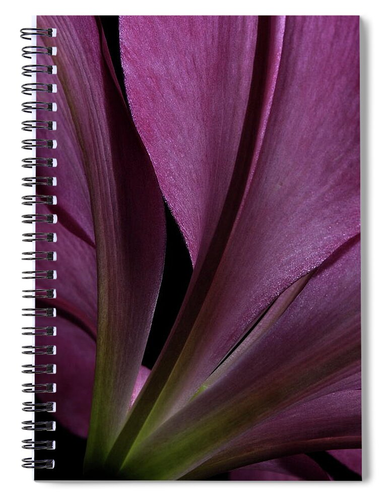 Botanical Spiral Notebook featuring the photograph Lily 4148 by Julie Powell