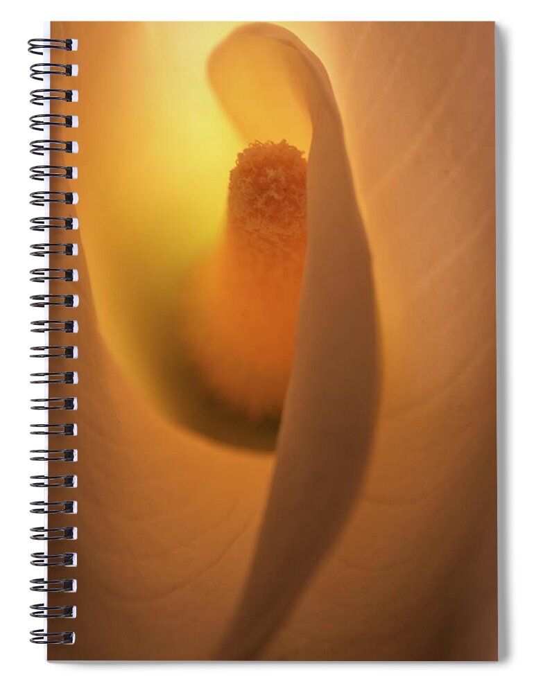 Macro Spiral Notebook featuring the photograph Lily 5615 by Julie Powell