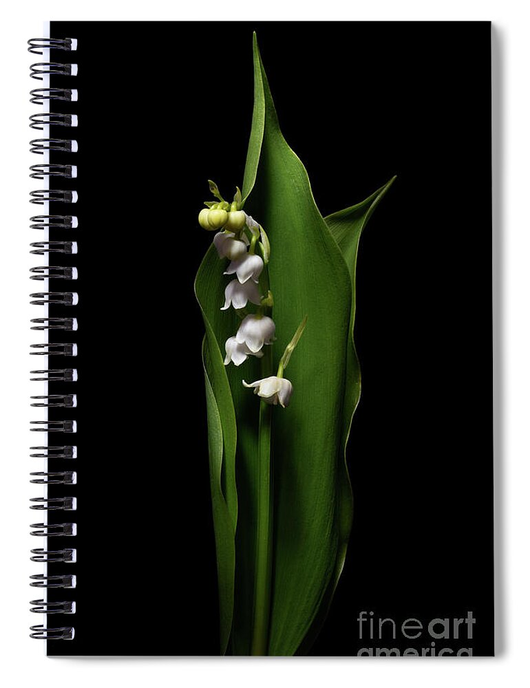 Lily Of The Valley Spiral Notebook featuring the photograph Lily of the Valley by Ann Garrett