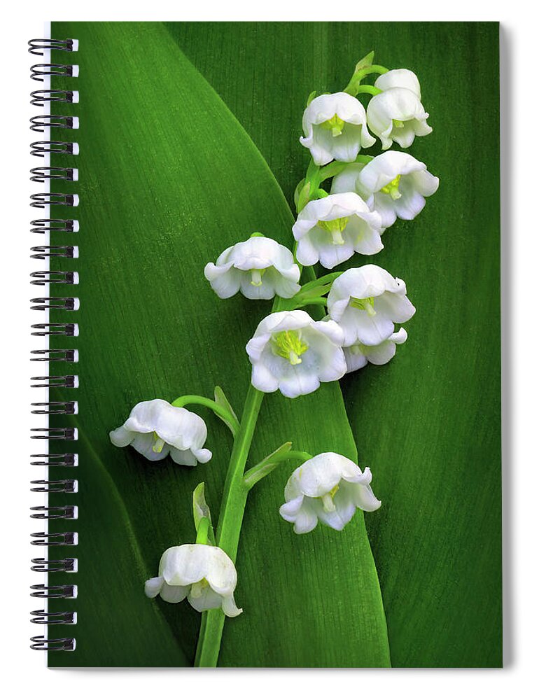Lily Of The Valley Spiral Notebook featuring the photograph Lily-of-the-valley by Carolyn Derstine