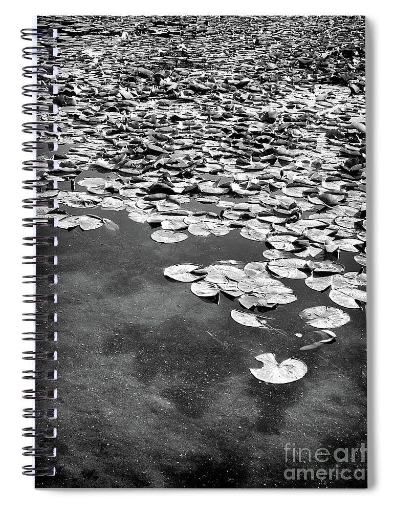 Ann Arbor Spiral Notebook featuring the photograph Lily Pads by Phil Perkins