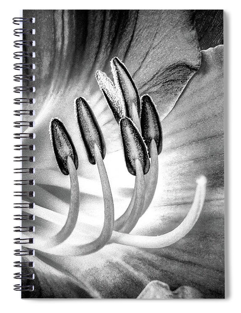 Digital Spiral Notebook featuring the digital art Lily Pistils - Black And White by Anthony Ellis