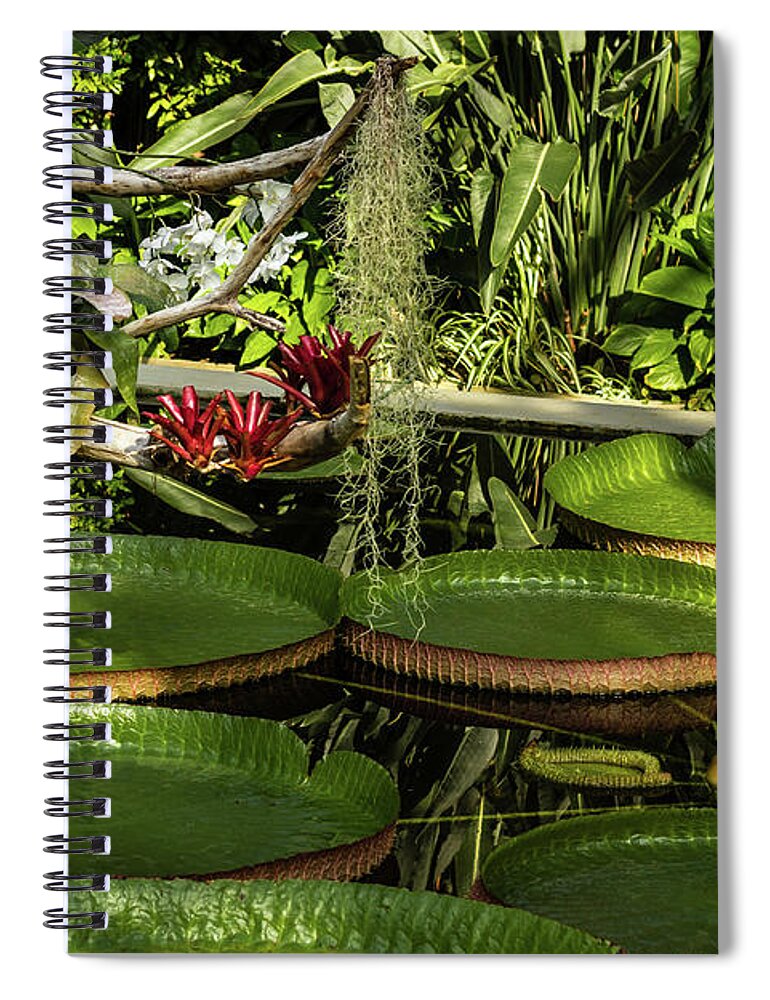 Italy Spiral Notebook featuring the photograph Lily pond by Craig A Walker