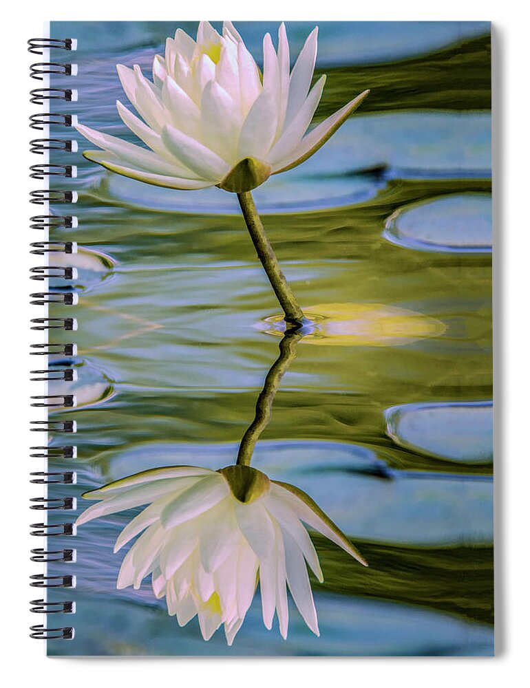 Flower Spiral Notebook featuring the photograph Lily Reflection by Cathy Kovarik