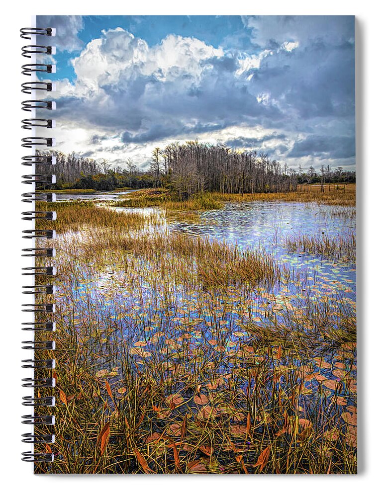Marsh Spiral Notebook featuring the photograph Lilypads in the Autumn Marsh Waters by Debra and Dave Vanderlaan