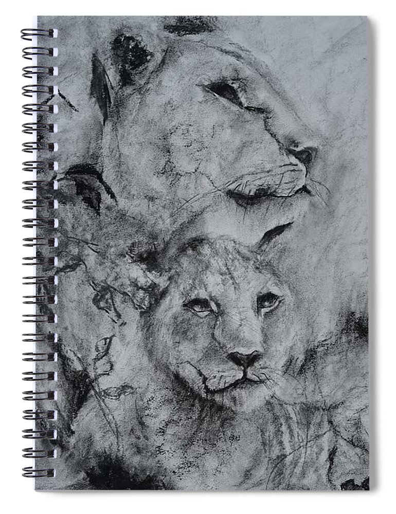 Africa Spiral Notebook featuring the drawing Lioness And Her Cub by Radha Rao
