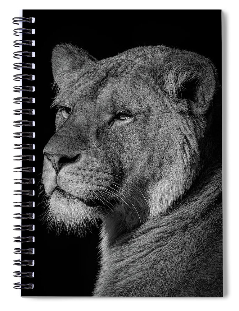 Lions Spiral Notebook featuring the digital art Lioness in black and white by Marjolein Van Middelkoop