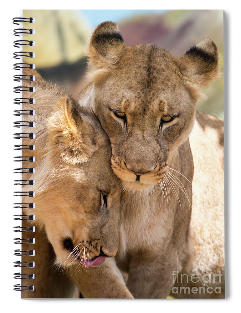Lion Spiral Notebook featuring the photograph Lioness with cub by Sheila Smart Fine Art Photography
