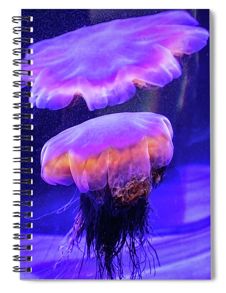 Ocean Spiral Notebook featuring the photograph Lions Mane Twins by Bob Cournoyer