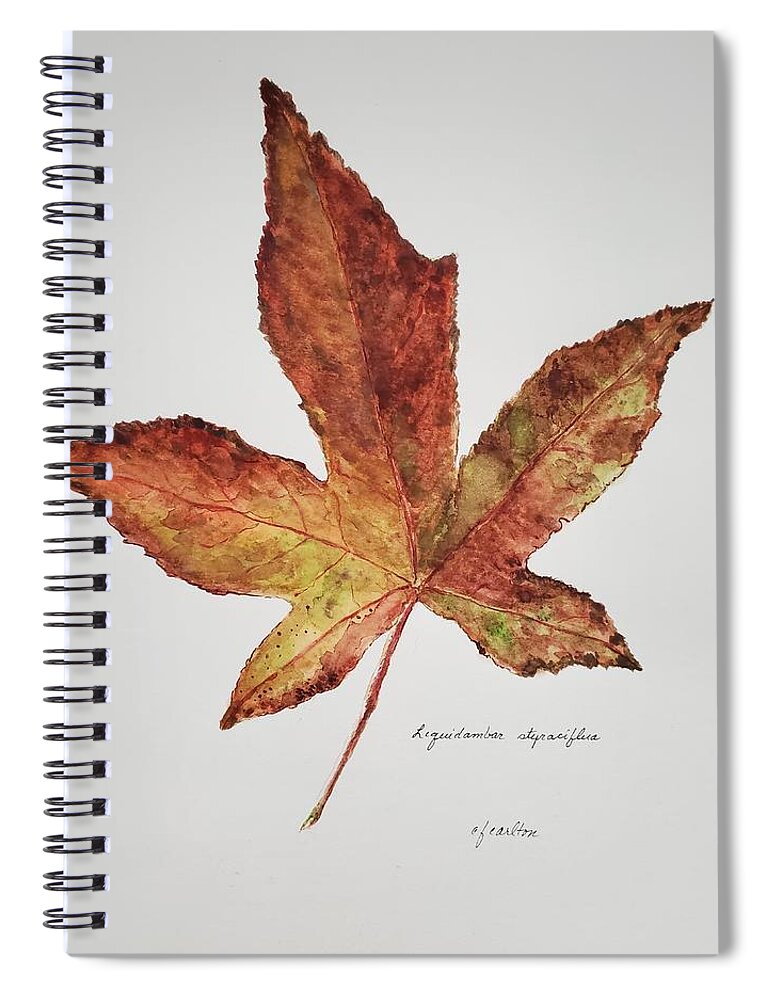 Botanical Spiral Notebook featuring the painting Liquidambar 3 - Watercolor by Claudette Carlton