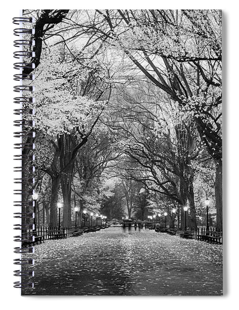 Literary Walk Spiral Notebook featuring the photograph Literary Walk in Autumn BW by Randy Lemoine