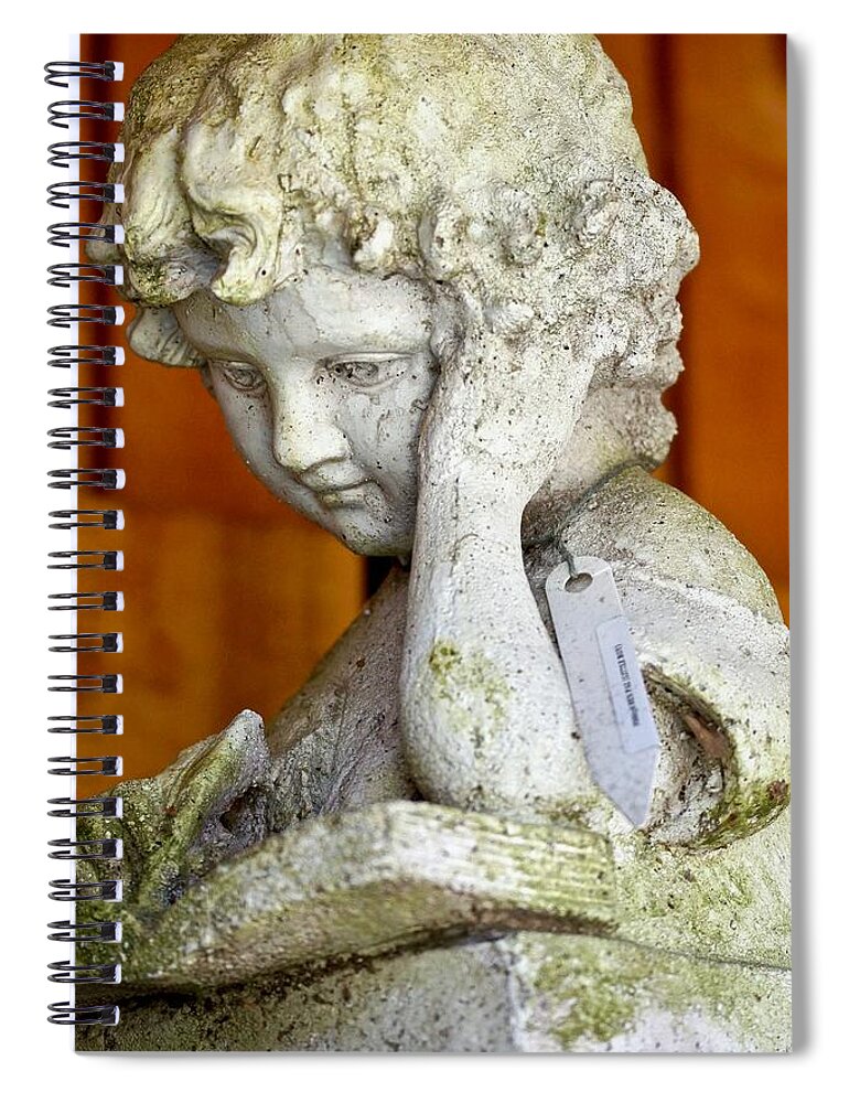Garden Sculpture Spiral Notebook featuring the photograph Little Anthony by Ira Shander